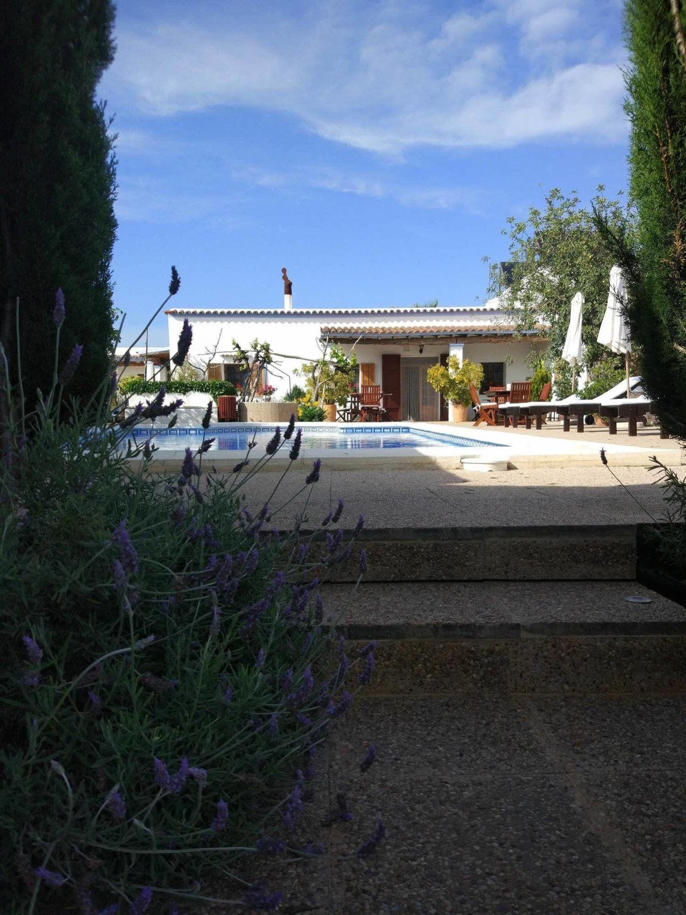 Séjour à la ferme Sa Vinya D'en Palerm Sant Miquel de Balansat