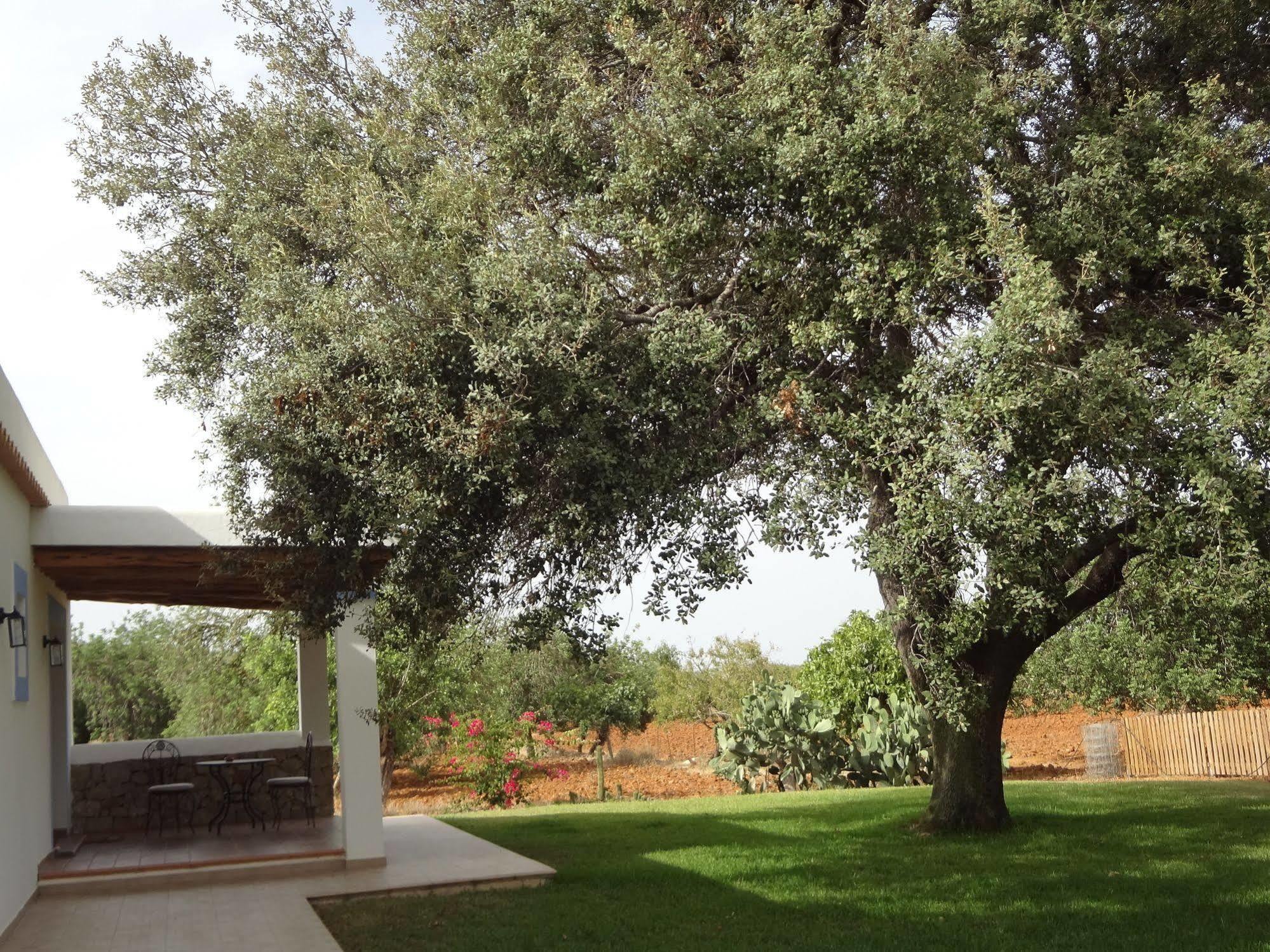 Sa Vinya D'en Palerm Estadia no rancho *
